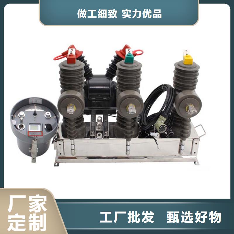 朝陽ZW8A-12G/T1250-31.5真空斷路器13587716025