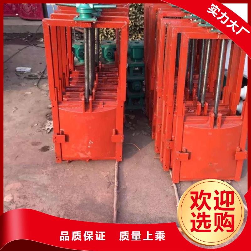 淮北城市建設(shè)鑄鐵鑲銅閘門反向止水