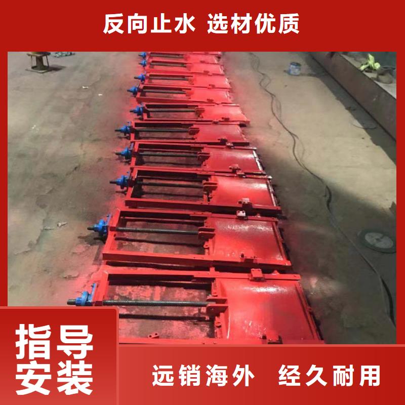 宿遷排灌閘門啟閉機(jī)性能可靠