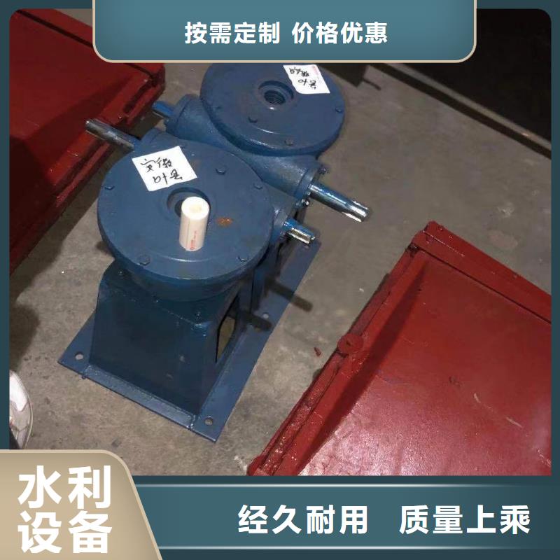 湛江堤壩雙止水鑄鐵閘門(mén)放心使用