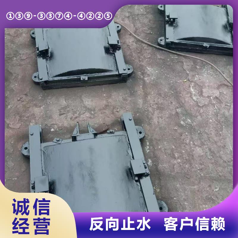 西安機(jī)閘一體鑄鐵閘門(mén)用心制作sfz鑄鐵鑲銅方形閘門(mén)創(chuàng)新設(shè)計(jì)