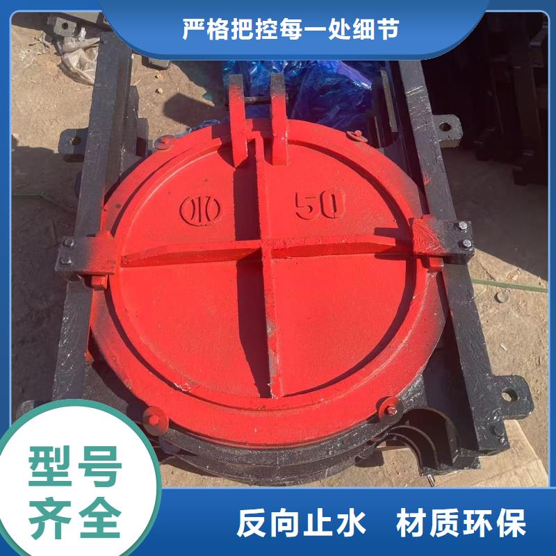 邵陽(yáng)鑄鐵閘門(mén)_水利閘門(mén)質(zhì)量上乘