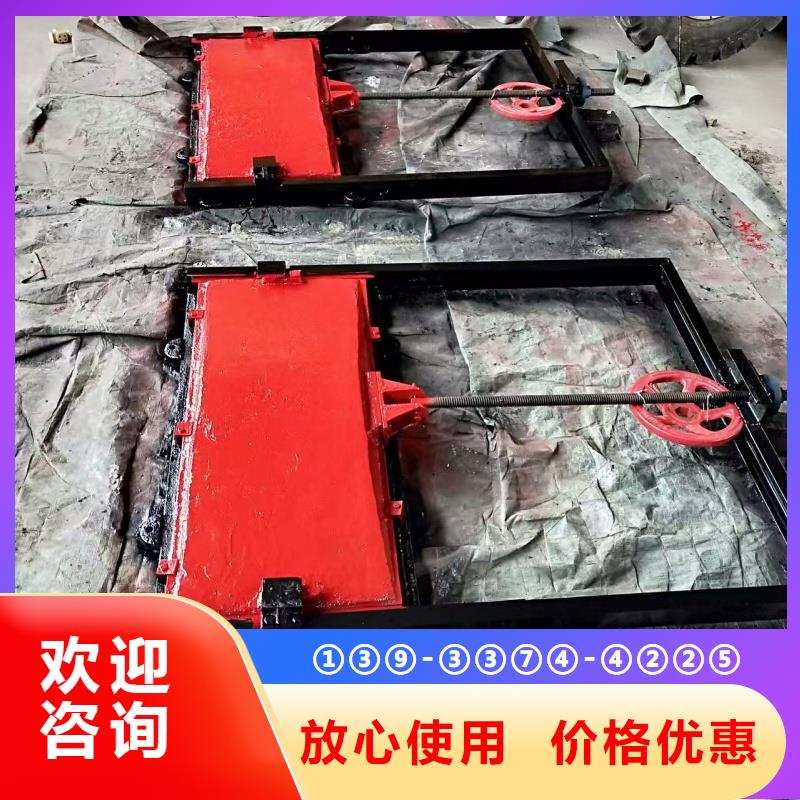 南昌水庫河道閘門性能可靠