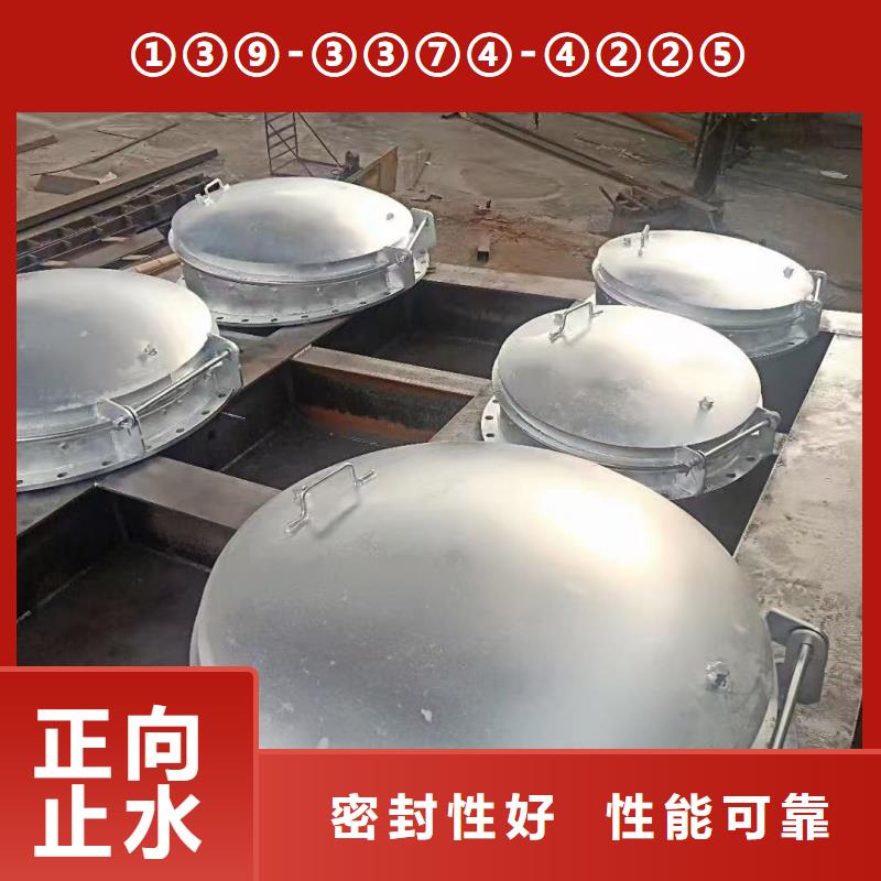 廊坊市大城縣玻璃鋼拍門(mén)專(zhuān)業(yè)