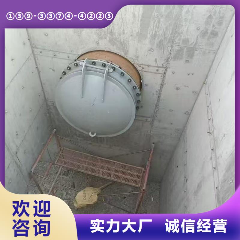 廣元市青川縣節(jié)能拍門承重力強