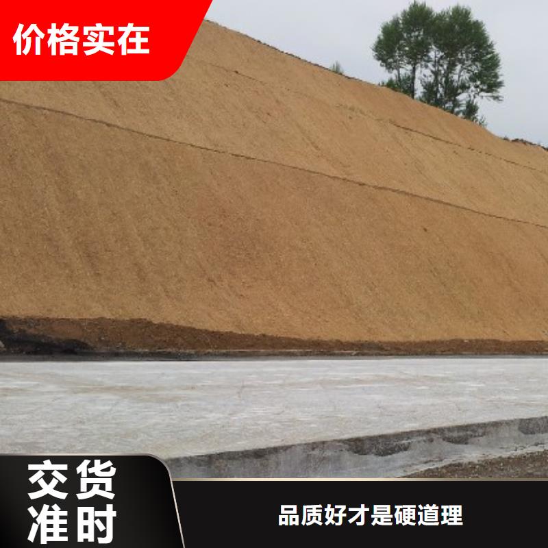 惠州荒漠治理植被固土椰絲毯好廠(chǎng)家有擔(dān)當(dāng)