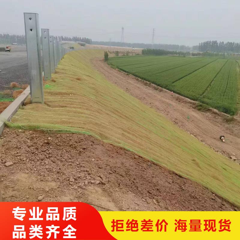 廊坊椰絲草毯大廠(chǎng)生產(chǎn)品質(zhì)