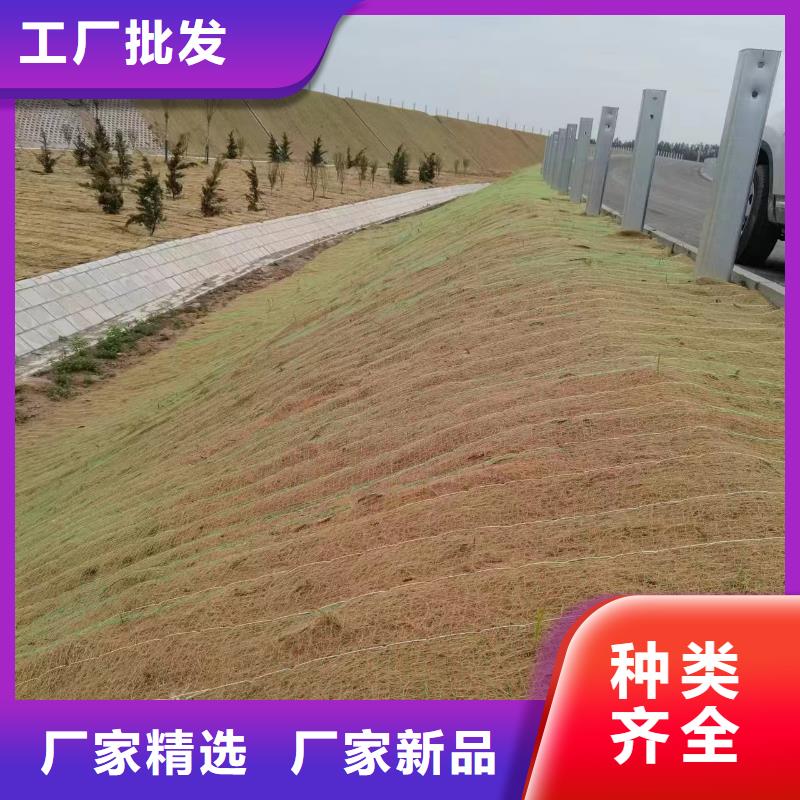 許昌綠化植草毯源頭廠(chǎng)源頭貨