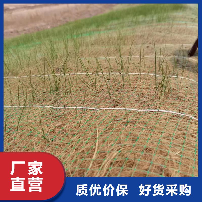 衡水加筋防沖毯工廠