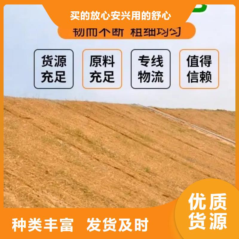 甘孜抗沖植生毯源頭廠(chǎng)源頭貨