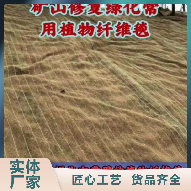 漯河椰絲生態(tài)毯工廠