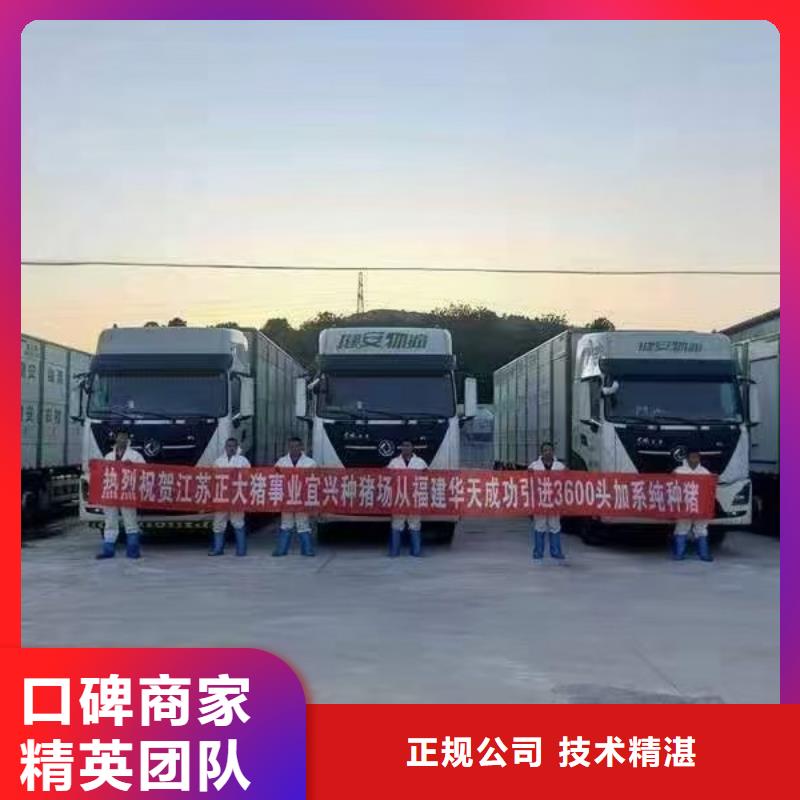 安徽到淮北仔豬運輸
