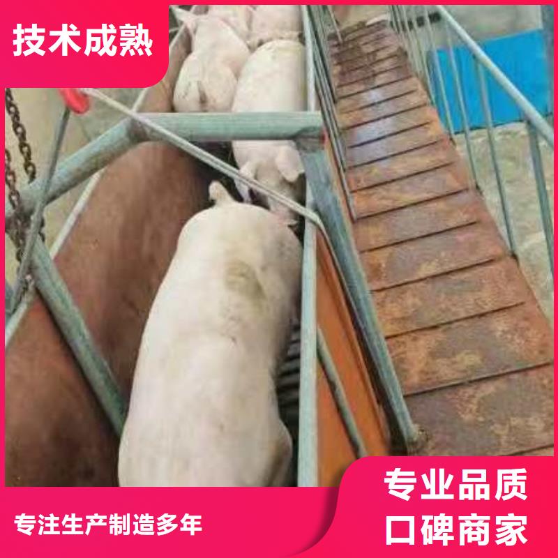 泗洪到淮北二育運輸
