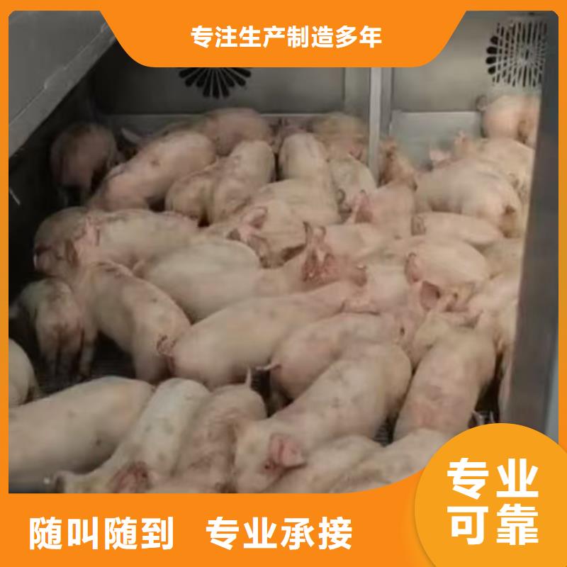 連云港到信陽豬籠車物流-恒溫車服務熱情