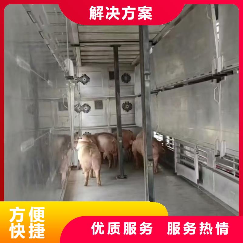 平頂山到張掖豬牛羊運輸空調(diào)車誠實守信