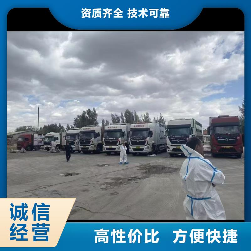銅山到萊州種豬運輸恒溫車售后保障