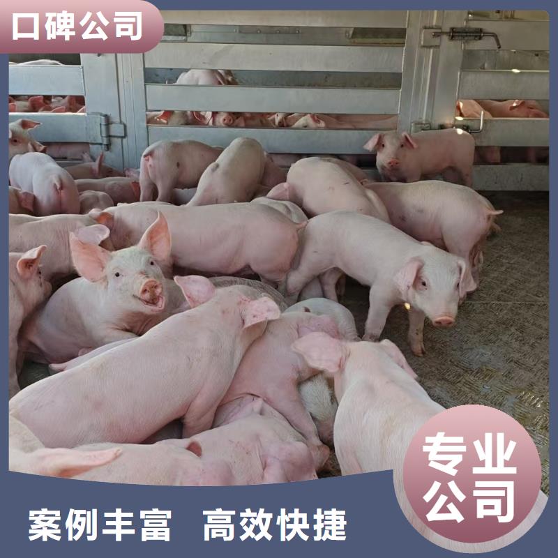 南京到萍鄉(xiāng)農(nóng)牧物流-恒溫車隨叫隨到