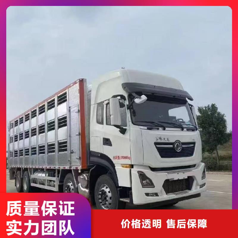 煙臺到河南仔豬運輸空調(diào)車快捷