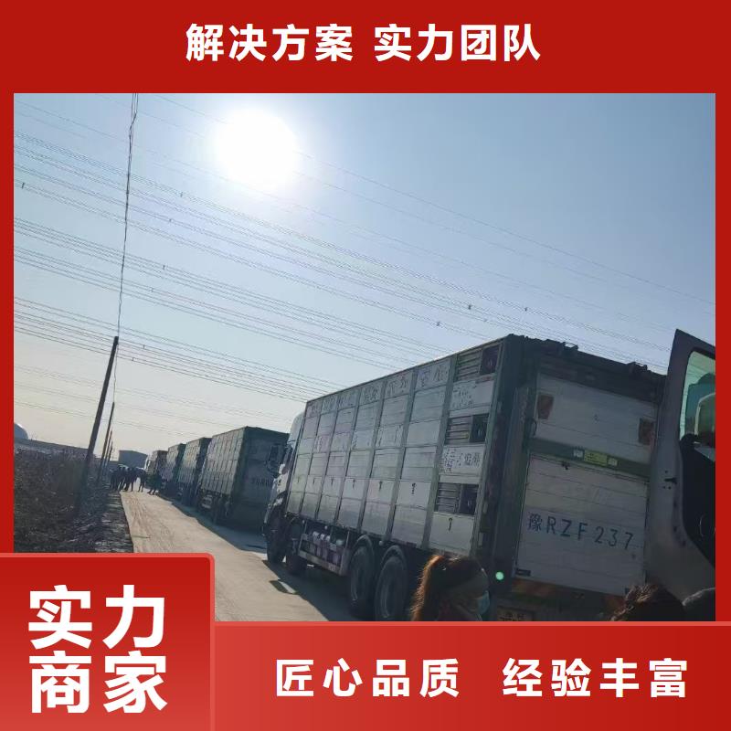 新鄉(xiāng)到合作市碌曲縣恒溫車活禽物流準時送達