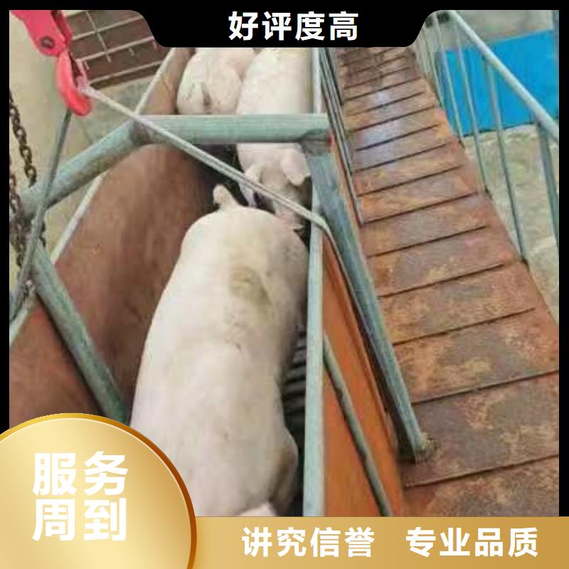 鎮(zhèn)江至玉樹豬牛羊運輸恒溫車品質(zhì)卓越