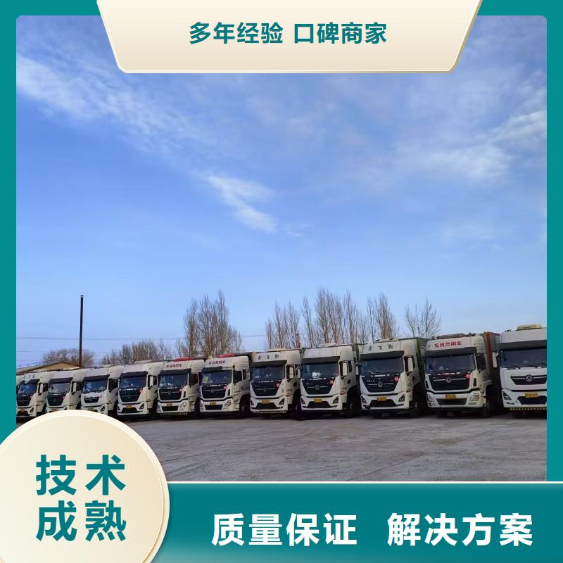 濟南到河南生豬運輸專業(yè)品質(zhì)