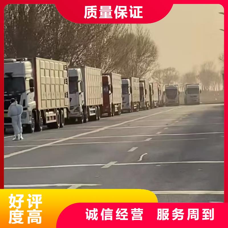 臺(tái)州到烏魯木齊種豬運(yùn)輸恒溫車良好口碑