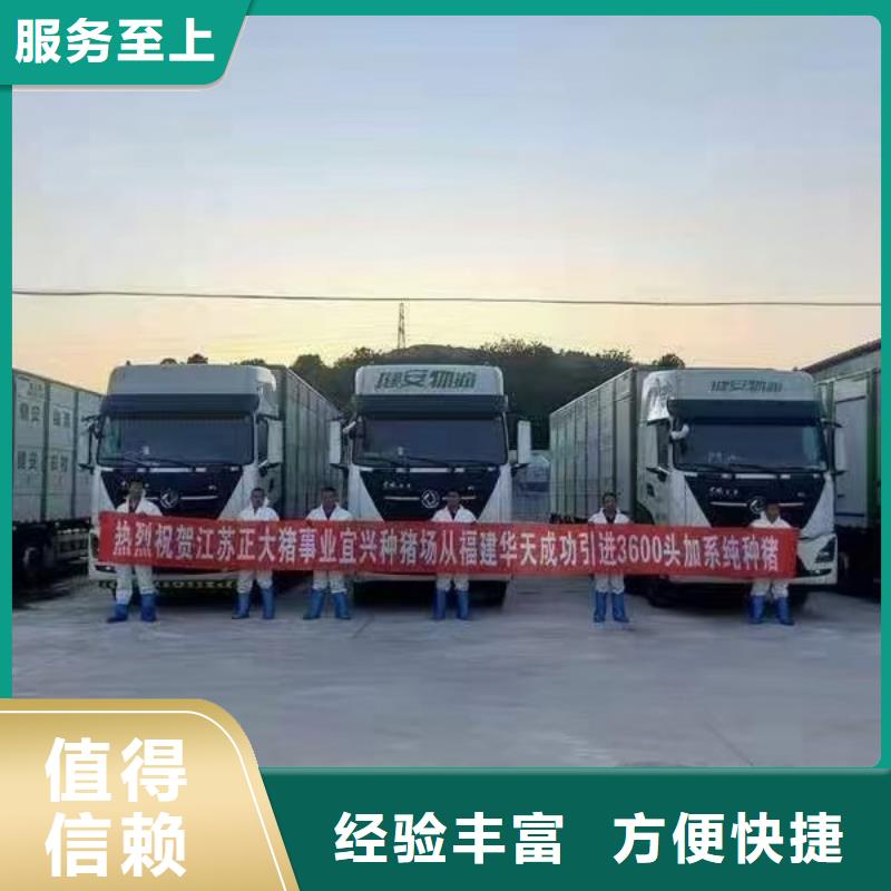 安慶到贛州牛運輸歡迎合作