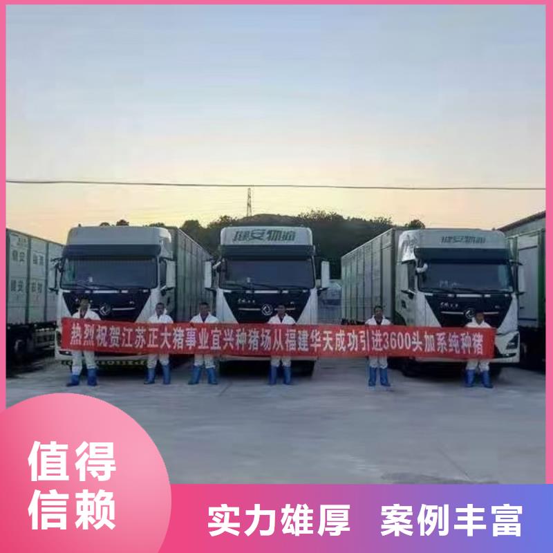 漯河到雅安種豬運(yùn)輸恒溫車匠心品質(zhì)