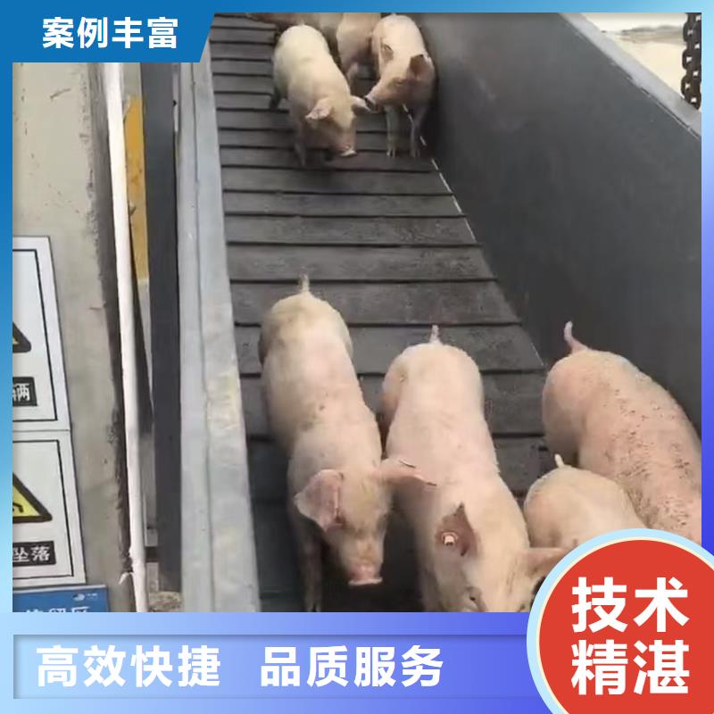 濮陽至甘孜種豬運輸按時到達