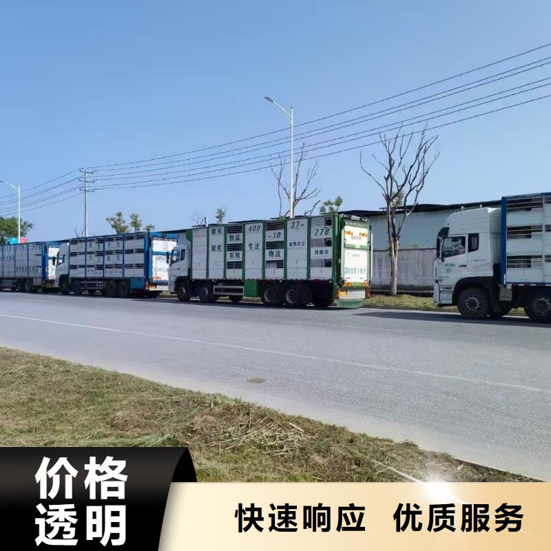 嘉興到惠州種豬運輸服務周到