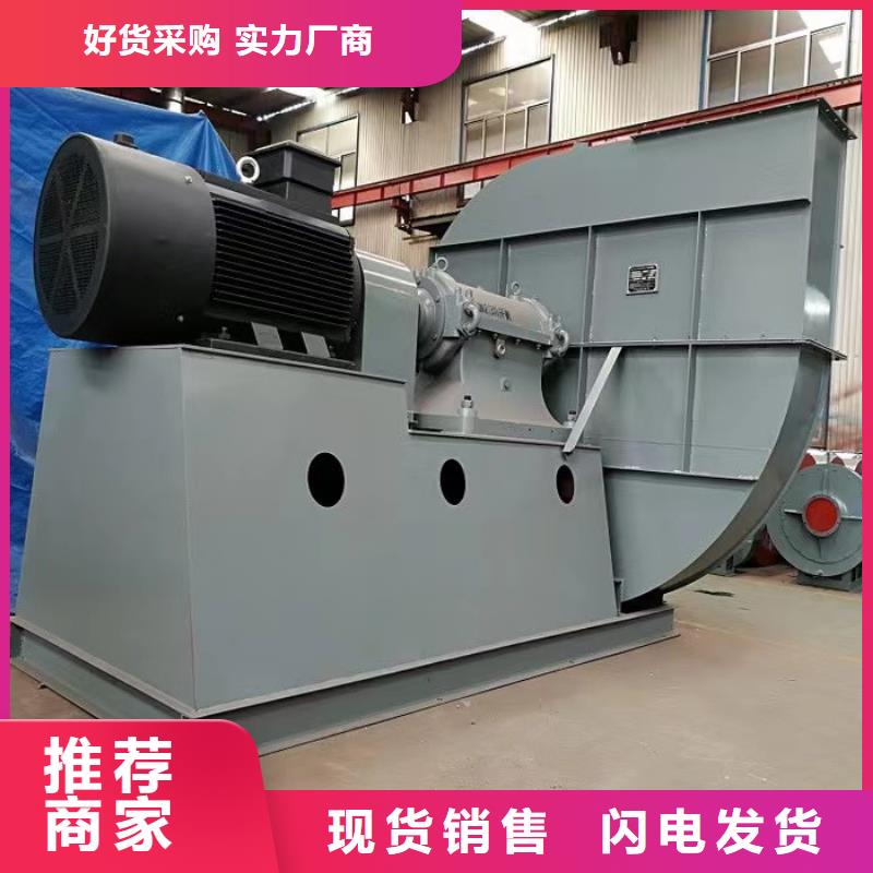 阜陽(yáng)L64三葉羅茨鼓風(fēng)機(jī)品質(zhì)商家(服務(wù)周到!2025已更新)焦化專用風(fēng)機(jī)