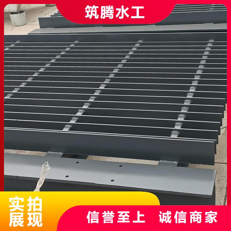 湘西清污機(jī)格柵清污機(jī)多年經(jīng)驗(yàn)值得信賴