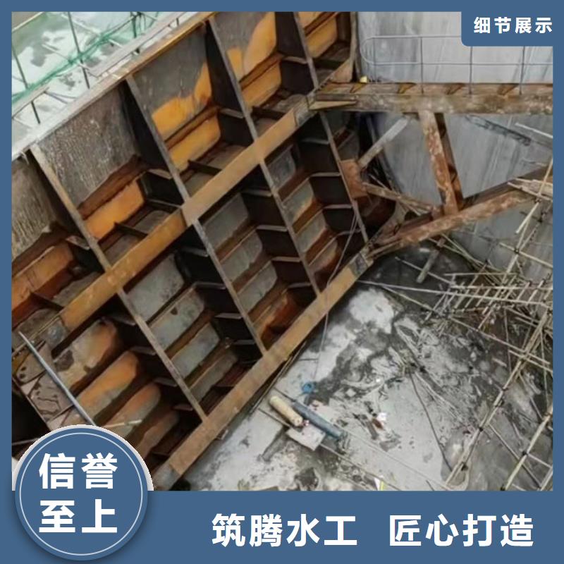 廈門翻板閘門液壓翻板鋼閘門同行低價(jià)