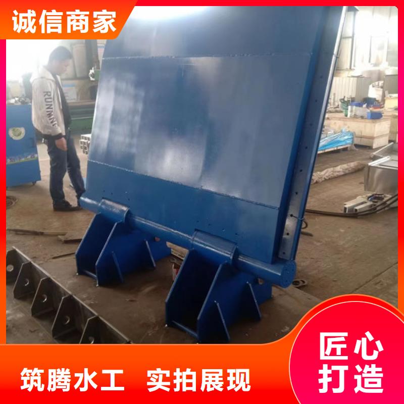 梅州液壓式翻板閘門用心經(jīng)營