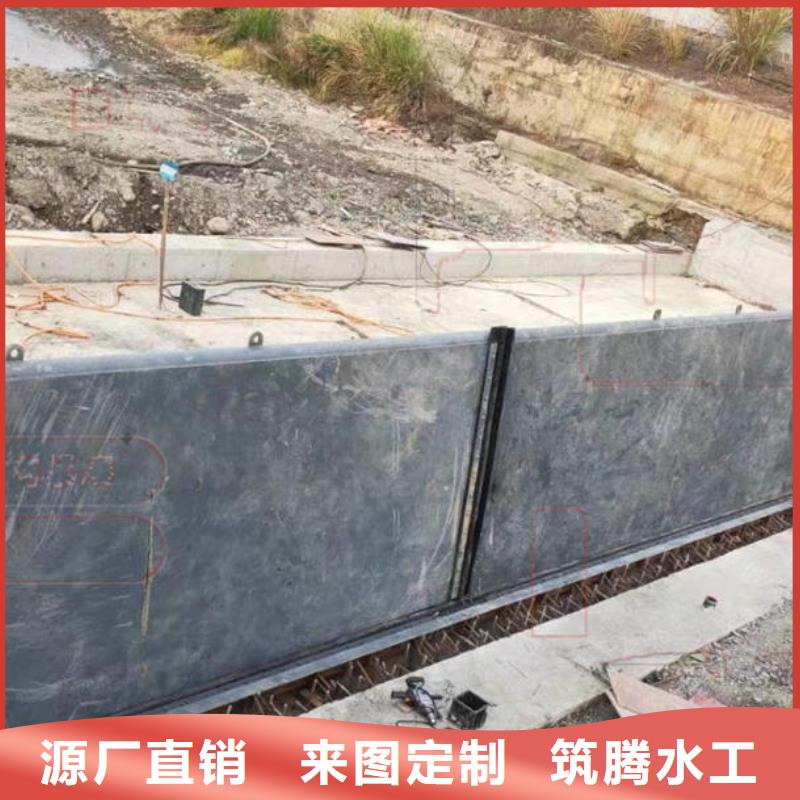 泰州翻板閘門景觀鋼壩閘保質(zhì)保量