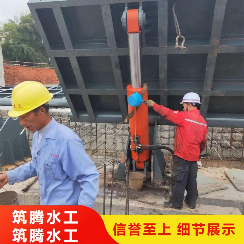 定西翻板閘門,液壓自控翻板閘門支持大小批量采購