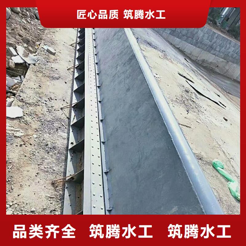 濱州翻板閘門_翻板閘門我們更專業(yè)