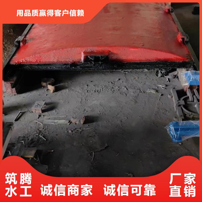 撫州平面鑄鐵閘門適用場景