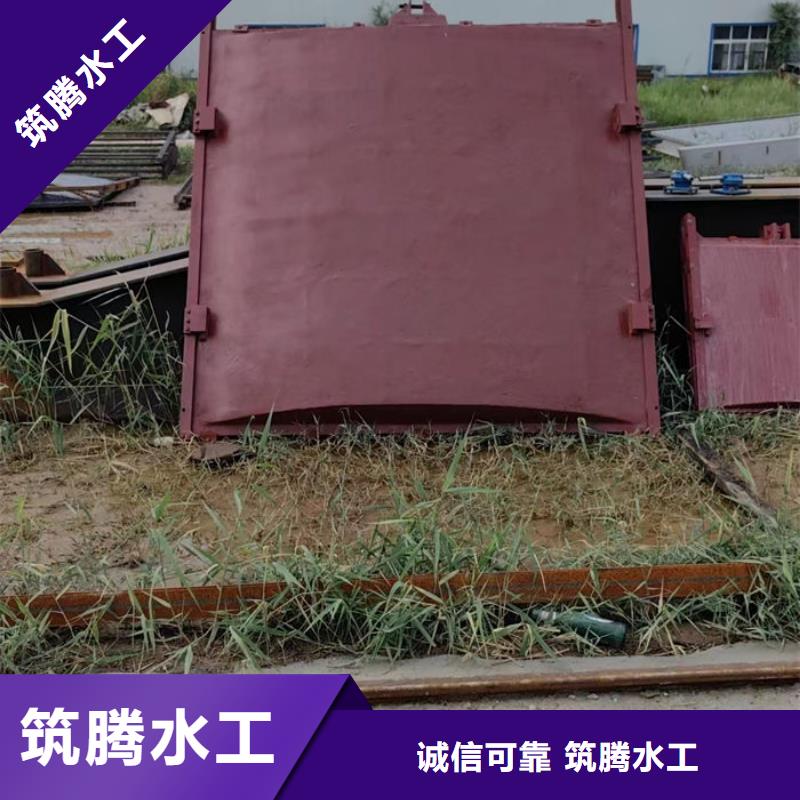 蚌埠鑄鐵鑲銅閘門我們更專業(yè)