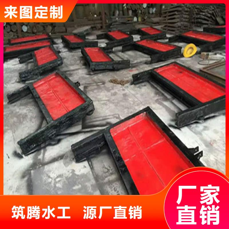 西雙版納ZMF鑄鐵鑲銅閘門品質(zhì)有保障