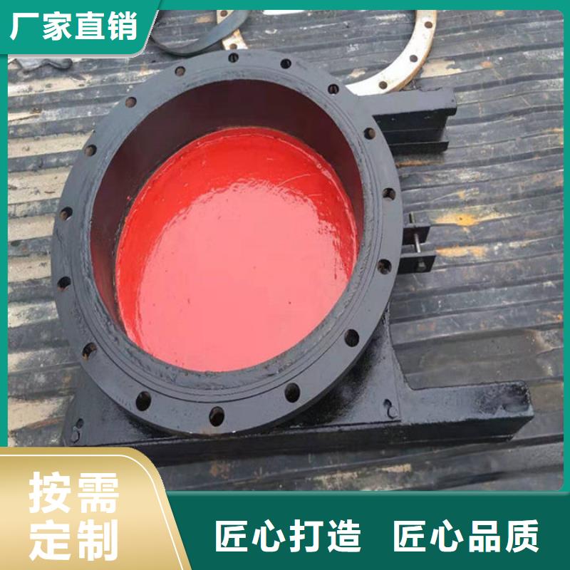 張掖機(jī)門一體閘門不斷創(chuàng)新