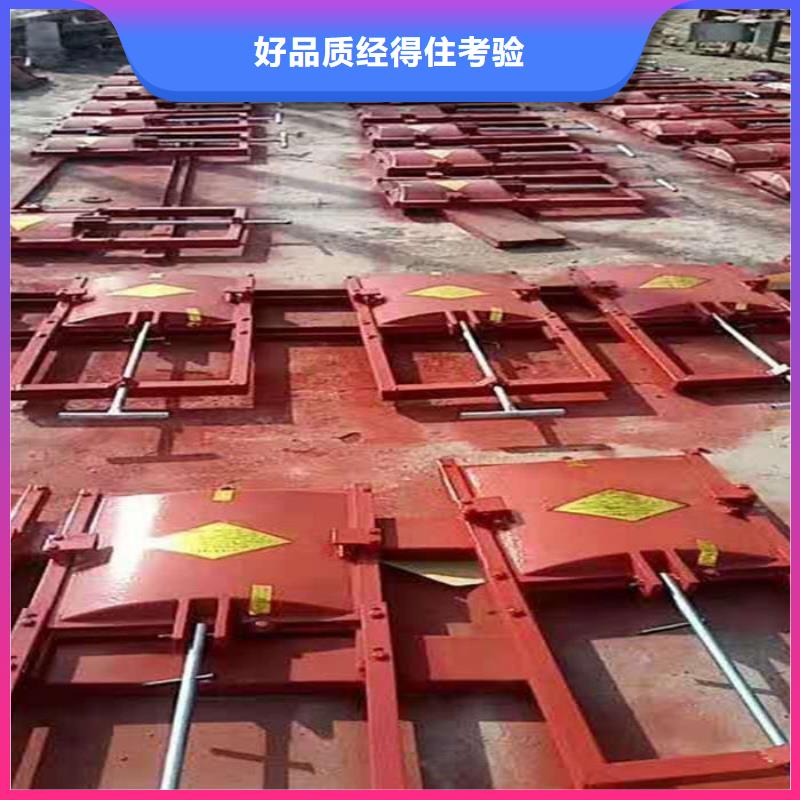 大理ZMF鑄鐵鑲銅閘門貨源充足