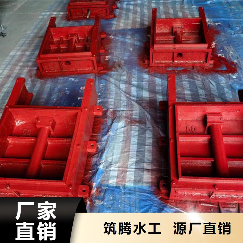 廣東雙向鑄鐵閘門誠信商家服務(wù)熱情