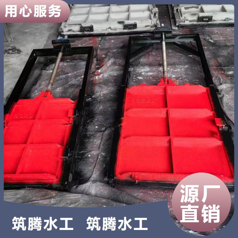 臨沂河道閘門信譽有保證