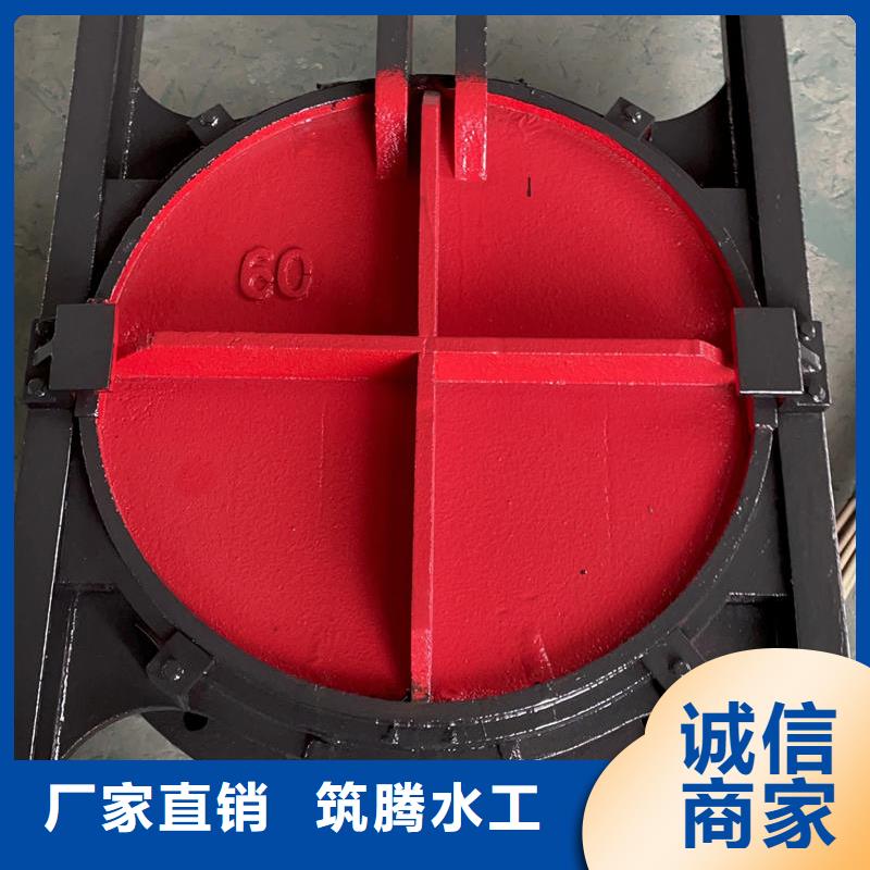 寧德鑄鐵閘門(mén),渠道閘門(mén)老客戶鐘愛(ài)