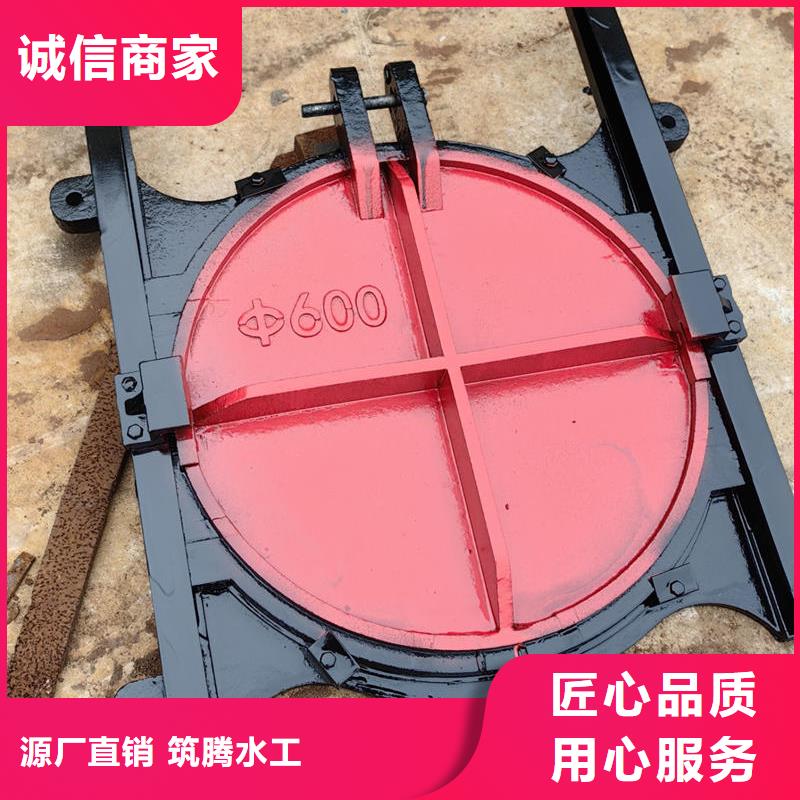 阿拉善鑄鐵閘門鑄鐵鑲銅閘門歡迎來廠考察