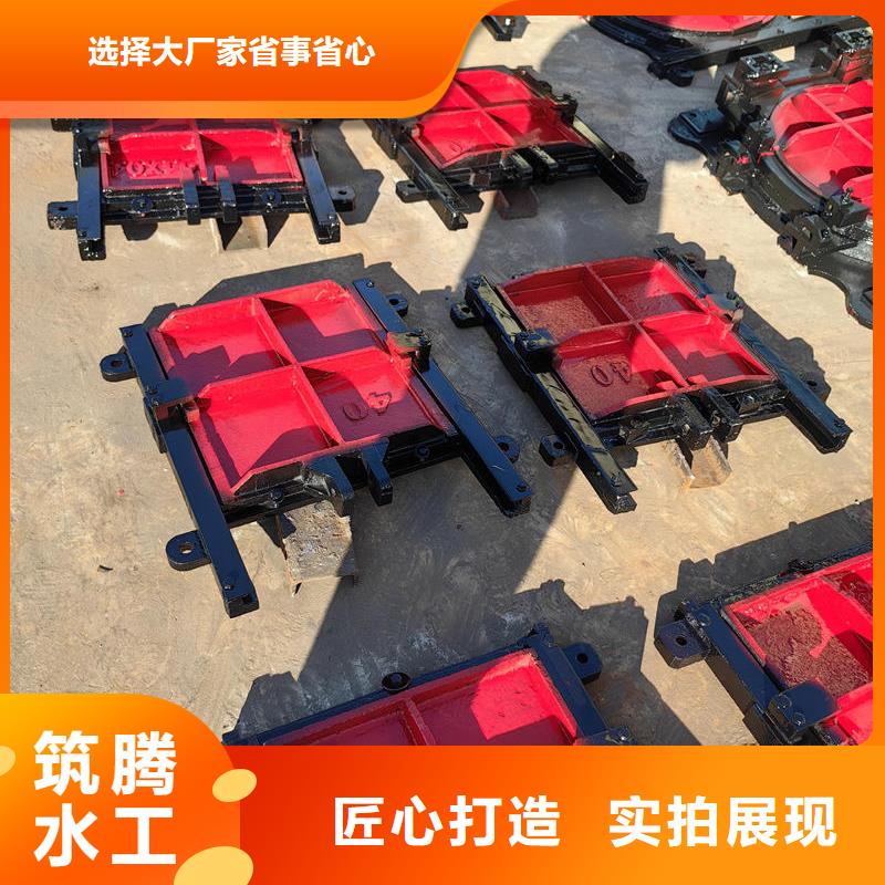 鐵嶺鑄鐵閘門(mén)機(jī)閘一體式閘門(mén)可放心采購(gòu)