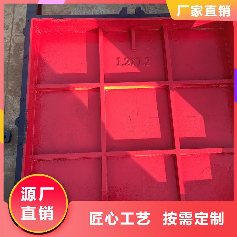 延安鑄鐵閘門ZMF鑄鐵鑲銅閘門精選貨源