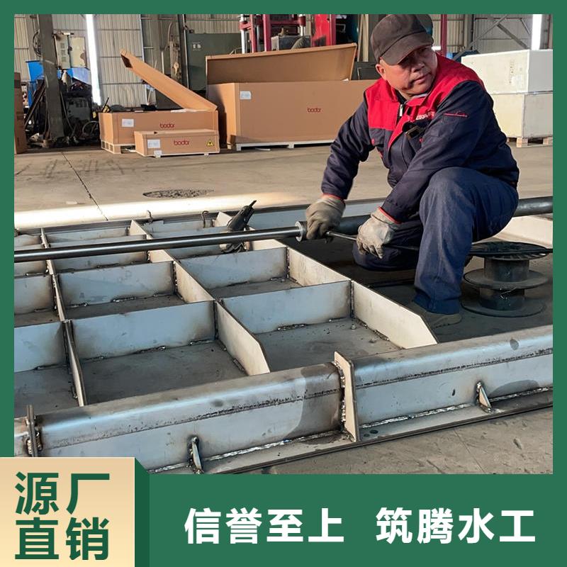 汕尾鋼閘門渠道插板門出貨快