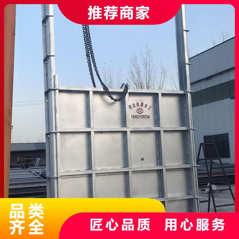 廣元鋼閘門_防洪閘門誠信經(jīng)營現(xiàn)貨現(xiàn)發(fā)